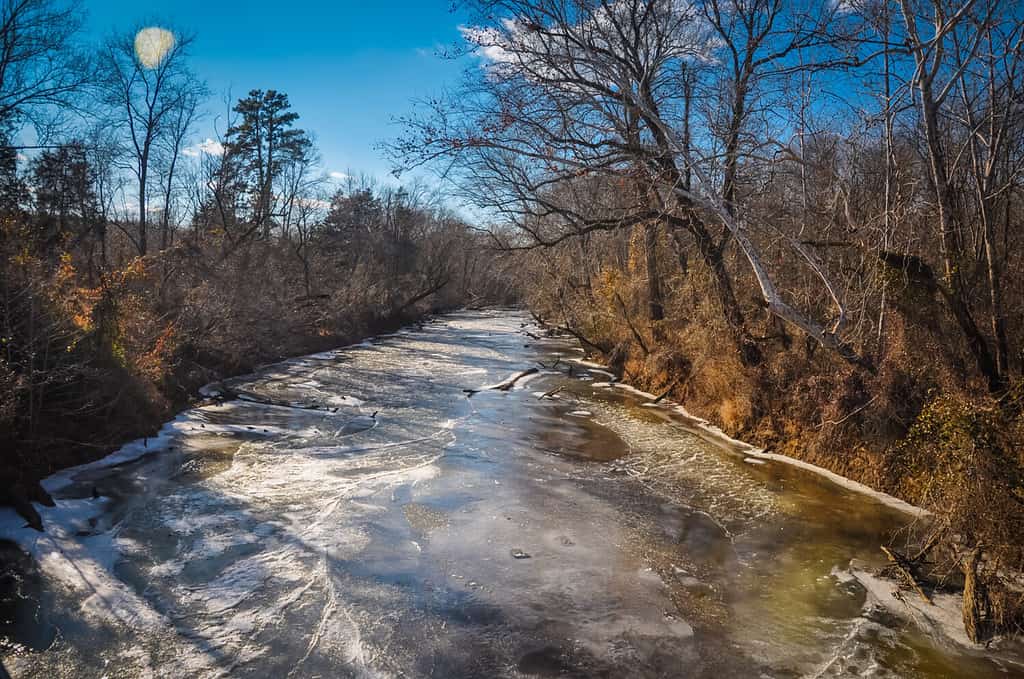 Man Breaks Ice to Save Trapped Dog From Frozen River - Image 4