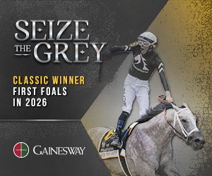 Horse Racing Legend Curlin Finally Sires Derby Winner - Image 3