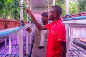Zambia Opens Africa's First Soybean Speed Breeding Lab - Image 2