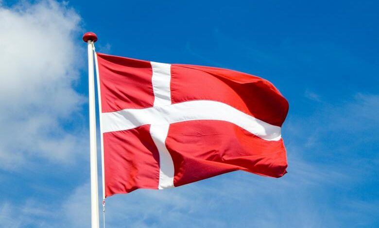 Egypt and Denmark Partner on Clean Energy Future - Image 2
