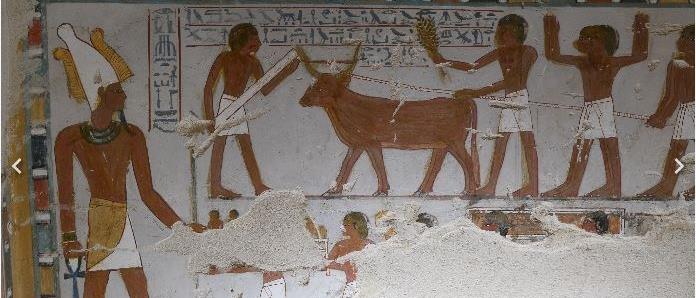 Egypt Opens 3,500-Year-Old Tombs After 11-Year Restoration