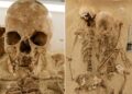 Ancient Innovation Driven by Connection, Not Climate Alone - Image 4