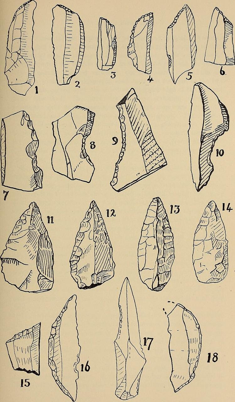 Ancient Innovation Driven by Connection, Not Climate Alone - Image 2