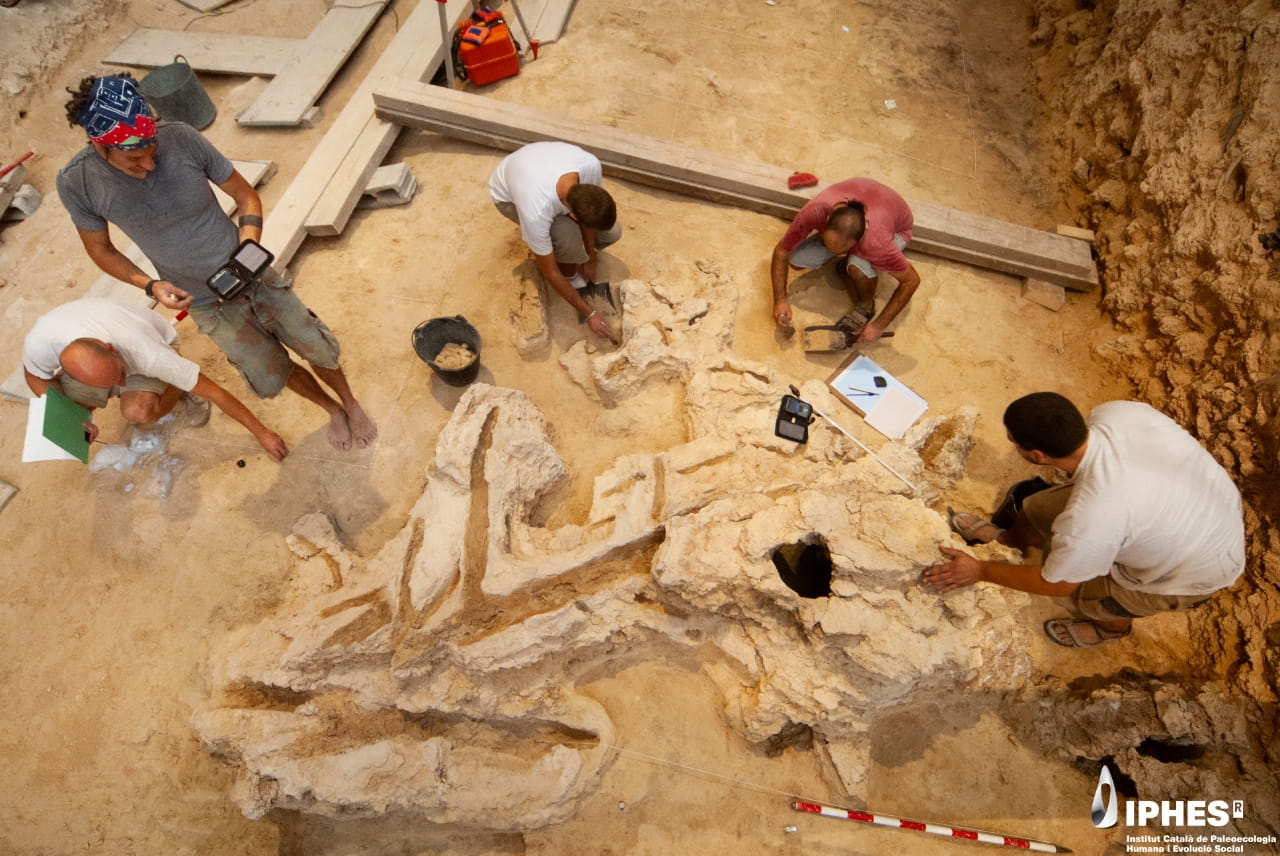 Neanderthals Built Furniture, Weapons 62,000 Years Ago