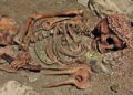 Ancient Innovation Driven by Connection, Not Climate Alone - Image 3