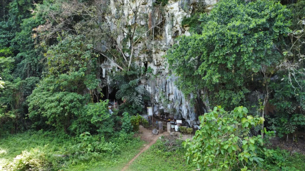 Indonesia Cave Art Dated to 67,800 Years Ago - Image 2