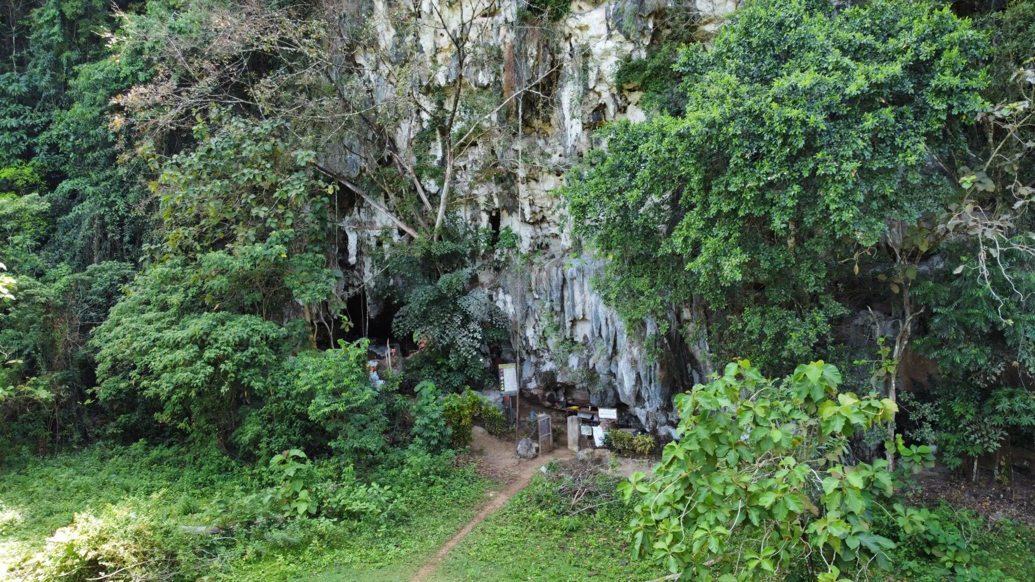 Ancient red hand stencil artwork on Indonesian cave wall dated to nearly 70,000 years ago
