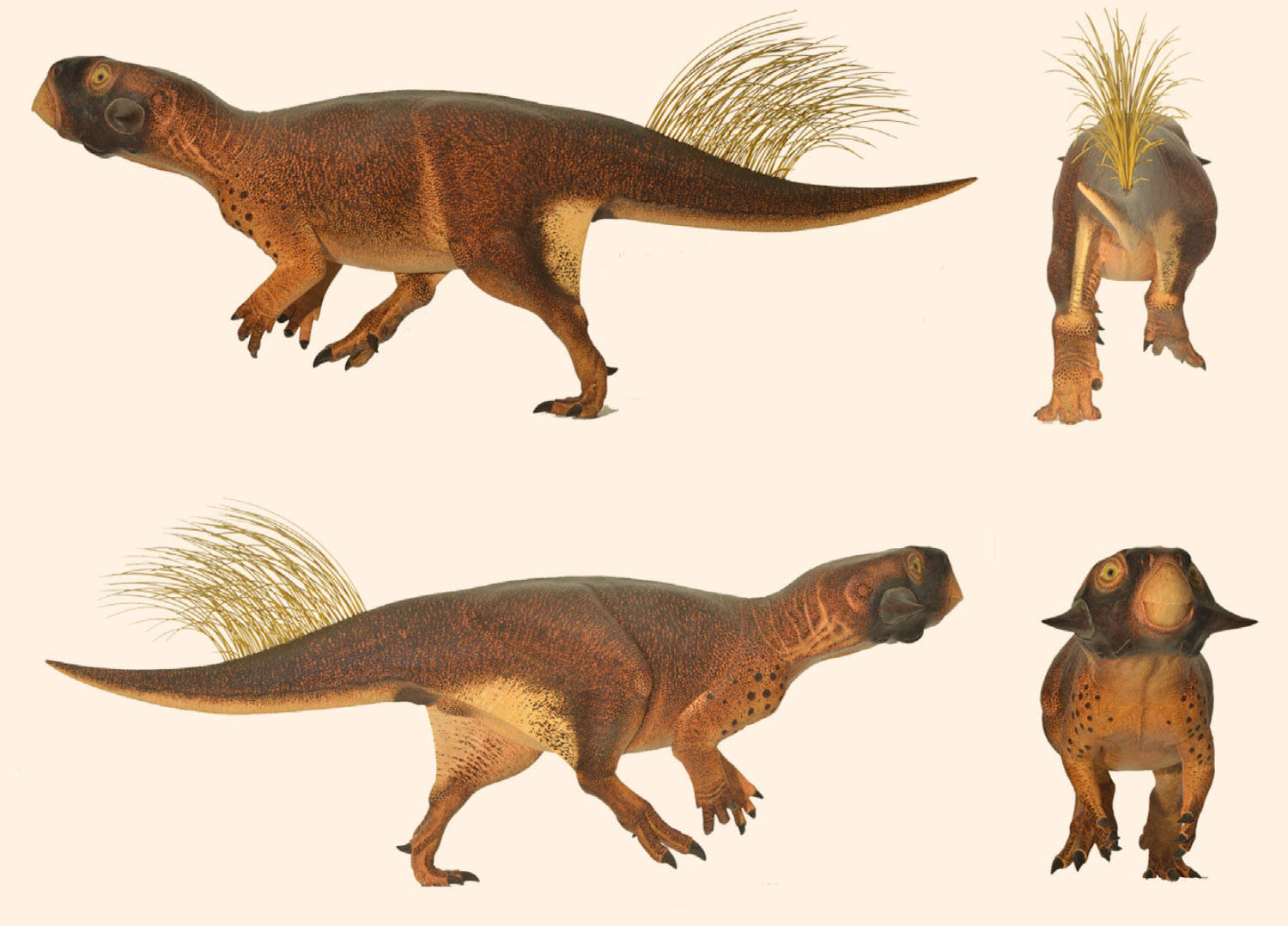 115-Million-Year-Old Dinosaur Found 473 Meters Underground
