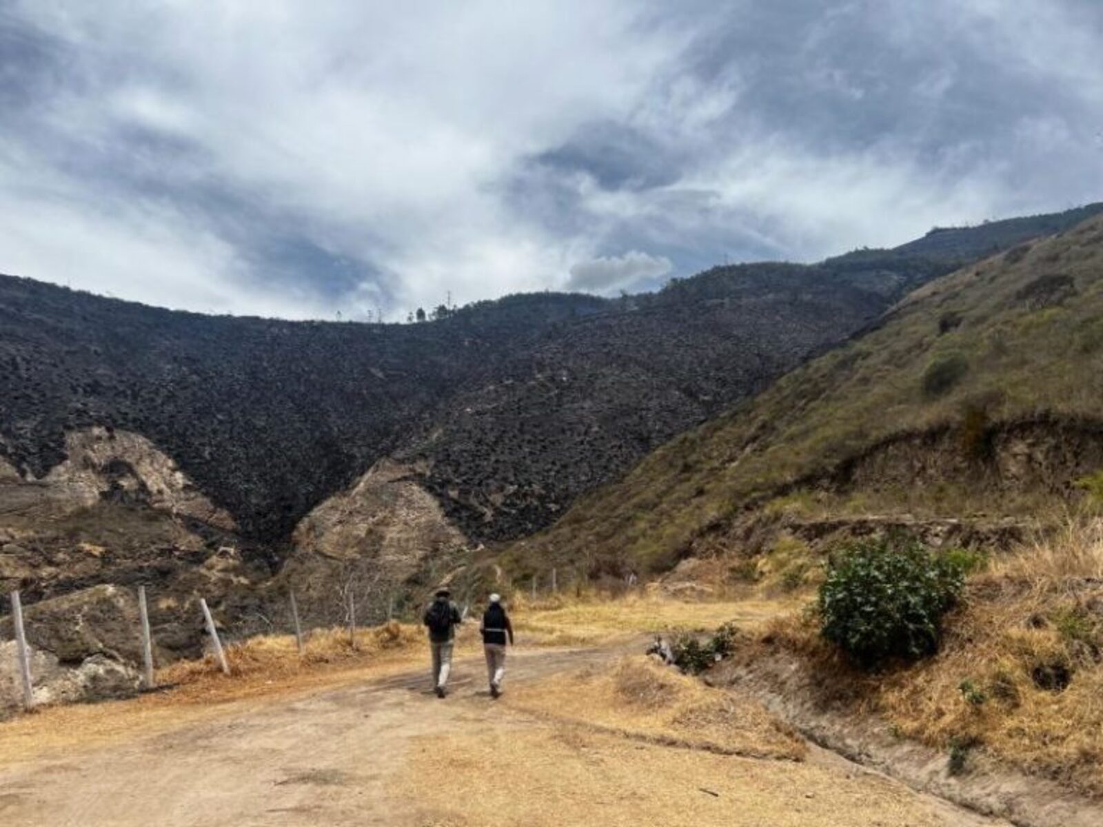 Wildfire Reveals Hidden Inca Stairway Near Quito