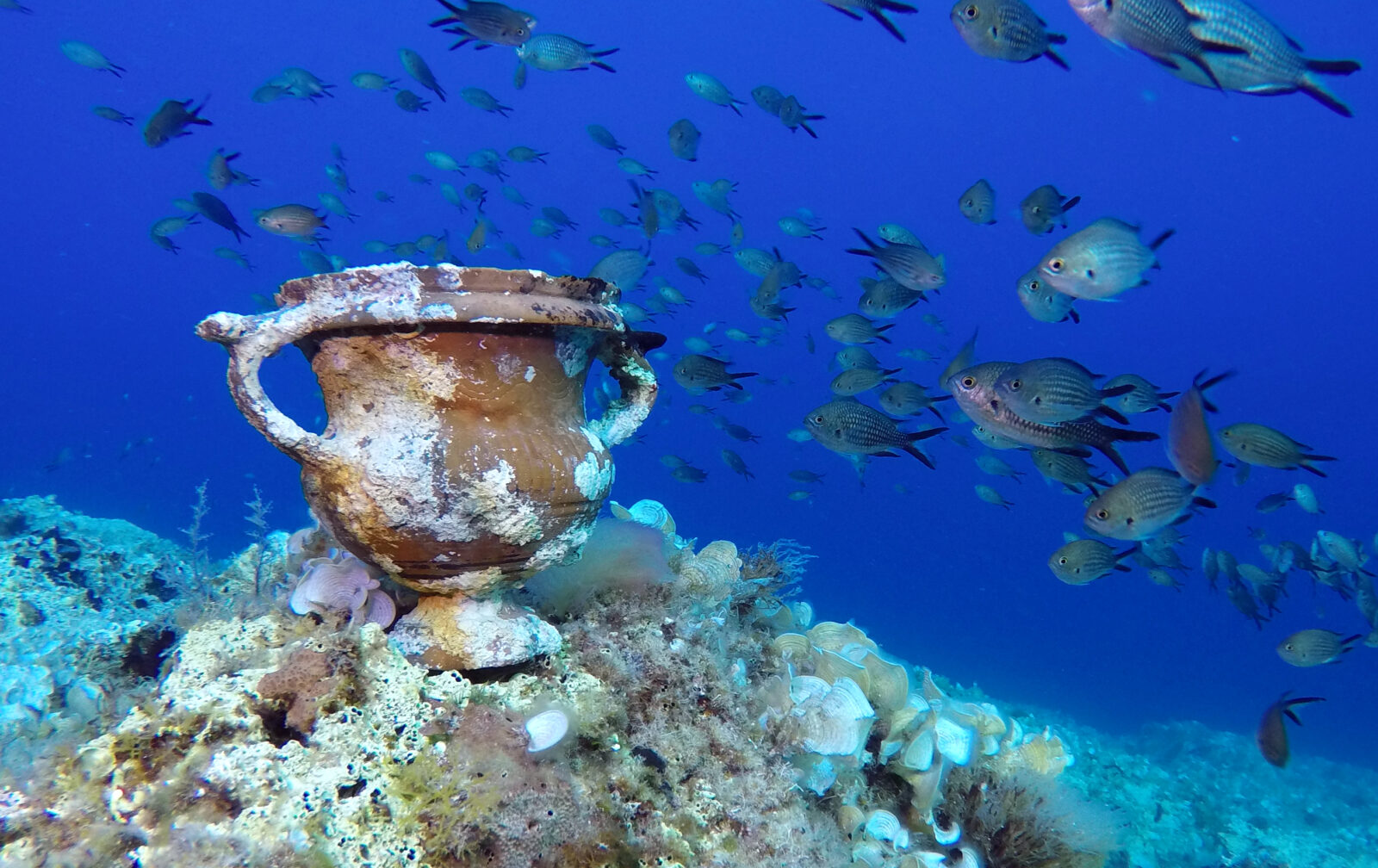 2,300-Year-Old Shipwreck Reveals Sailors' Names Off Croatia