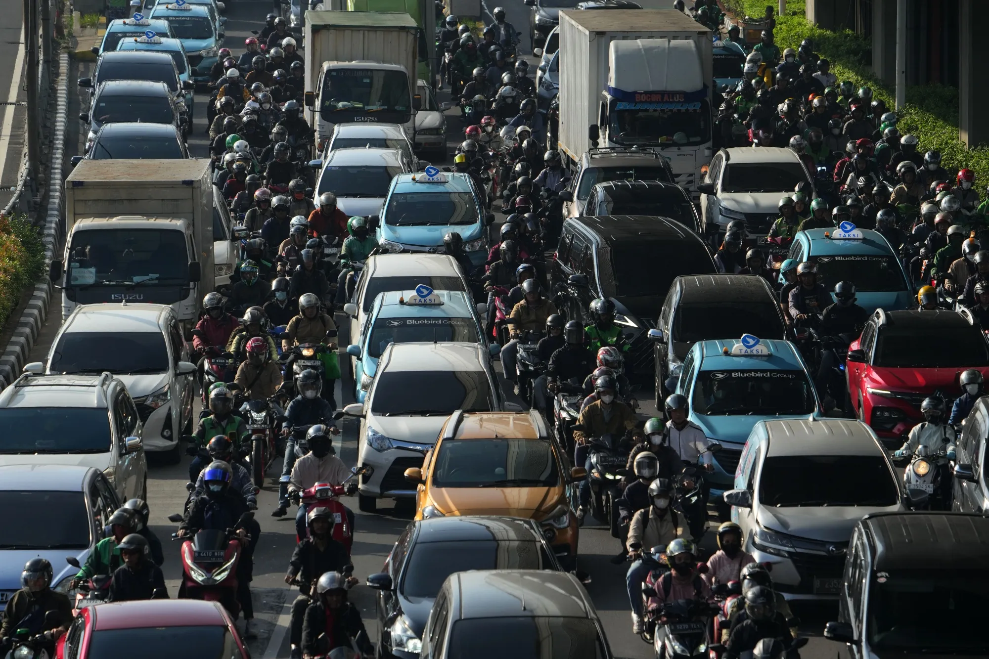 Indonesia's $12,000 EV Could Save 20M Hectares of Forest - Image 3