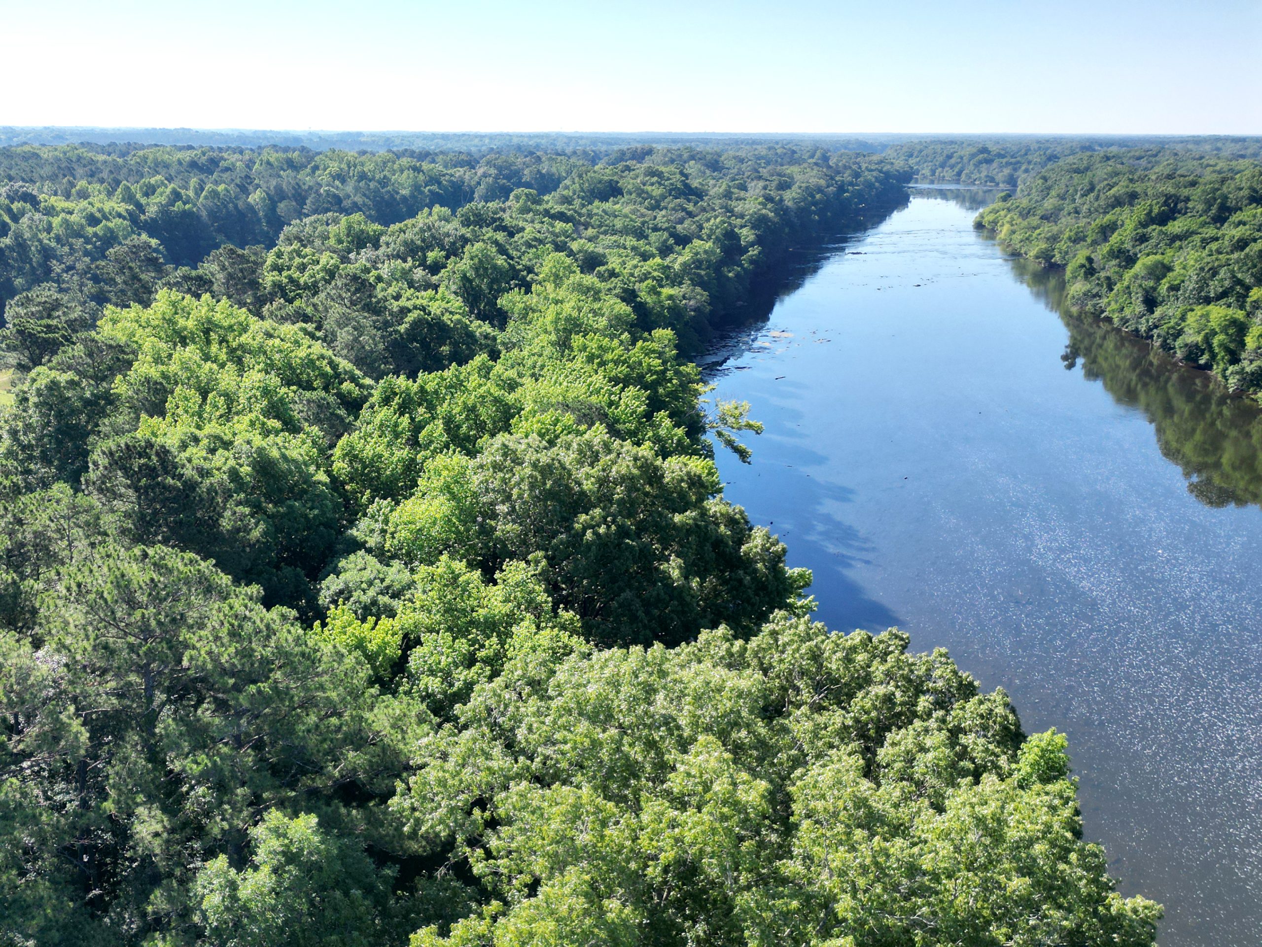 Forest area with scattered debris and fallen trees along Campbell University's River Park property