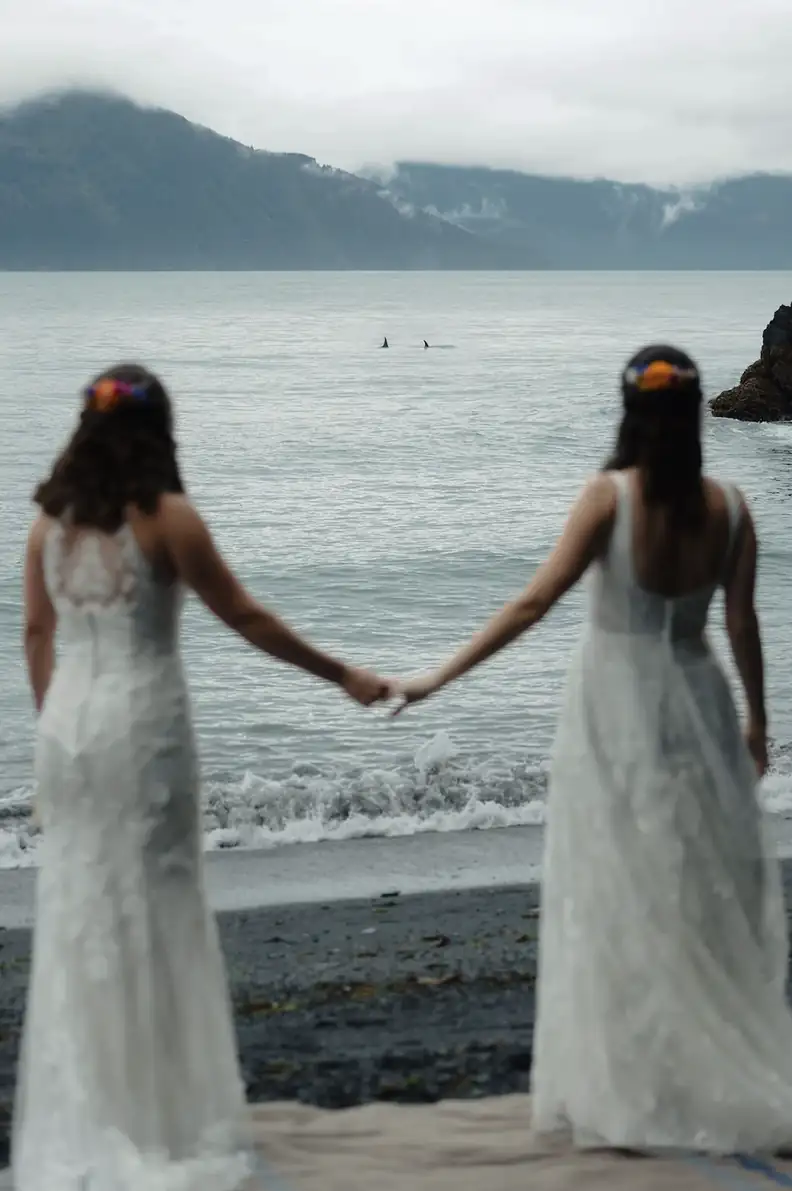 Orcas Crash Alaska Beach Wedding at Perfect Moment - Image 2