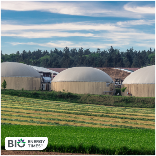 Sweden Adds 27 Biogas Buses in Green Transport Push