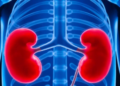 Scientists Find Fat-Burning Switch That Fights Obesity - Image 2