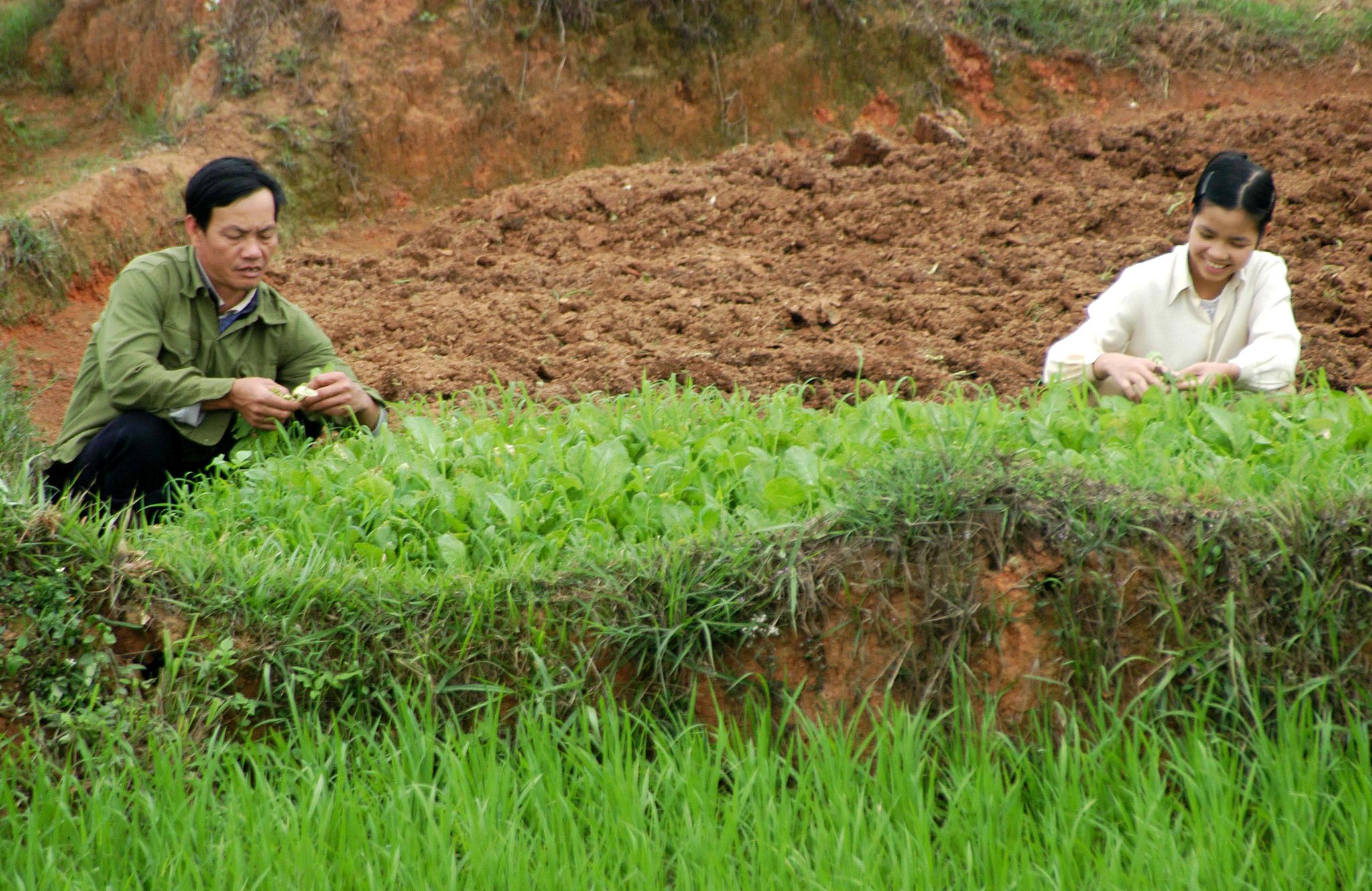 Vietnam Targets Rural Poverty With Green Economy Plan