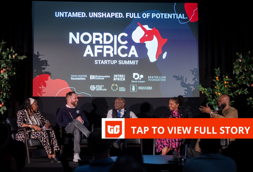 Denmark Grants $620K to Link Nordic Investors with Africa