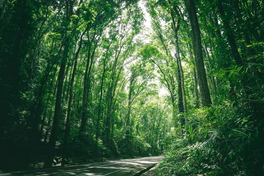 Philippines Launches National Carbon Market Framework