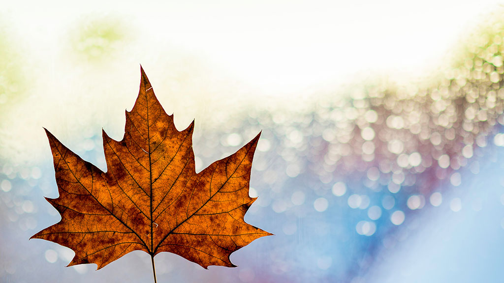 Indigenous Partnerships Key to Canada's Economic Future