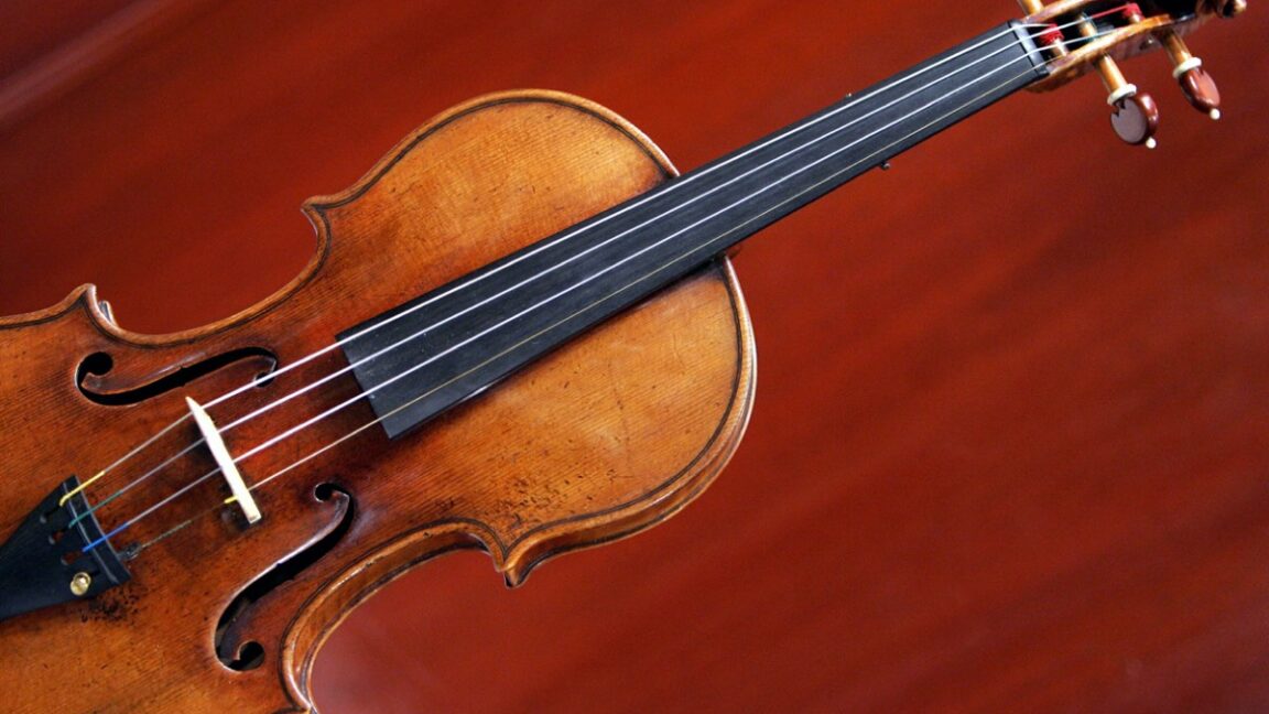 Computer-generated 3D model of a violin showing its internal wooden components in different colors