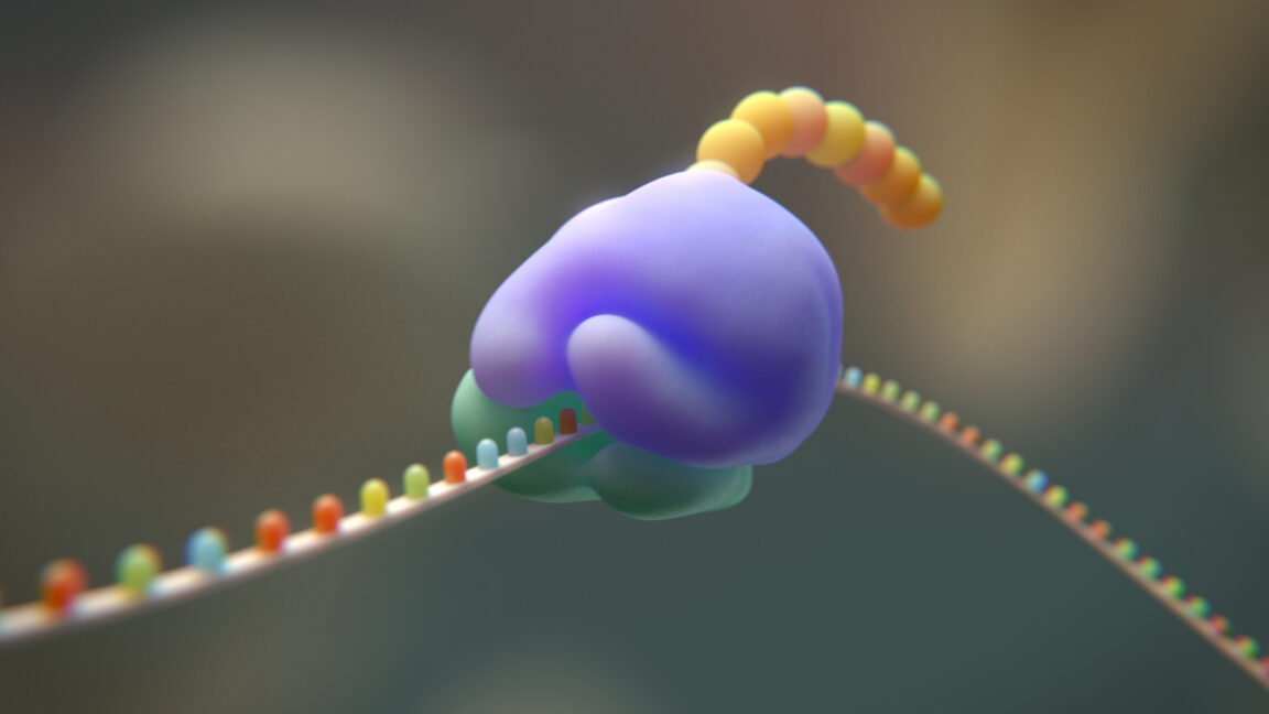Colorful 3D illustration of bacterial ribosome structure with protein chains and RNA molecules