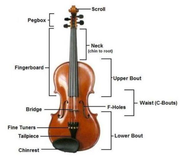 MIT Creates Virtual Violin to Help Instrument Makers - Image 2