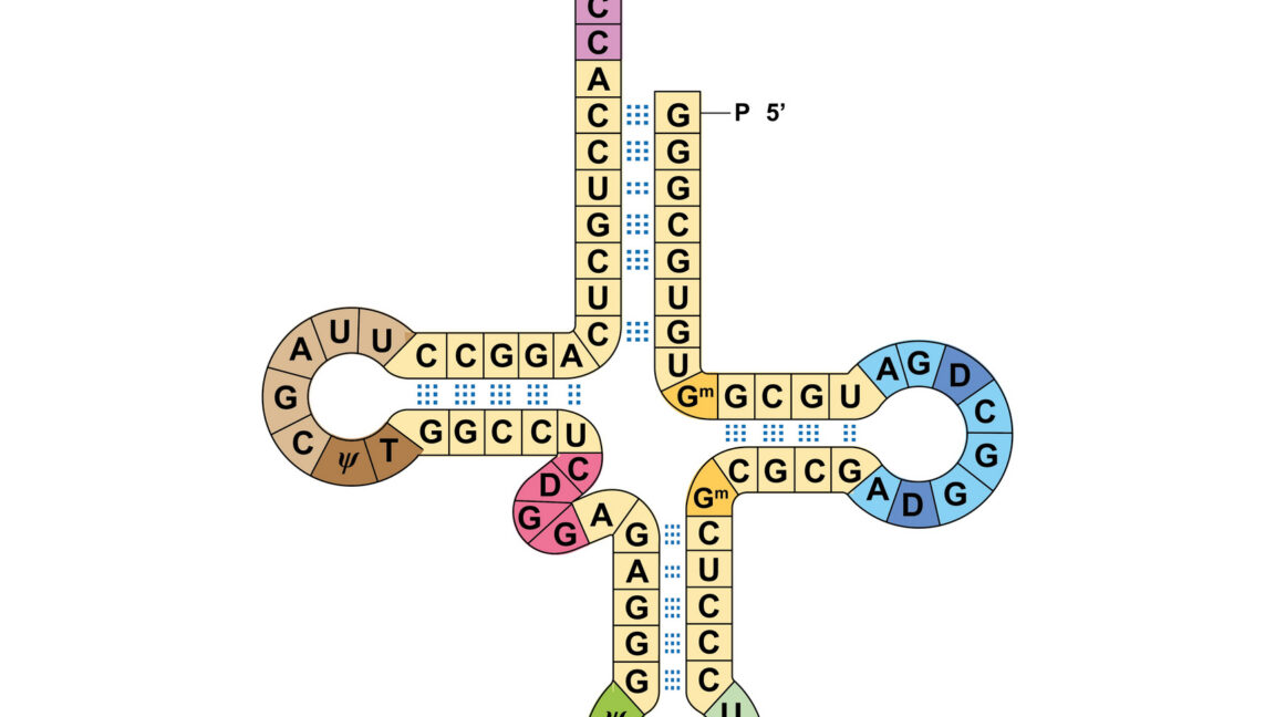 Scientists Run Two Genetic Codes at Once in Major Leap