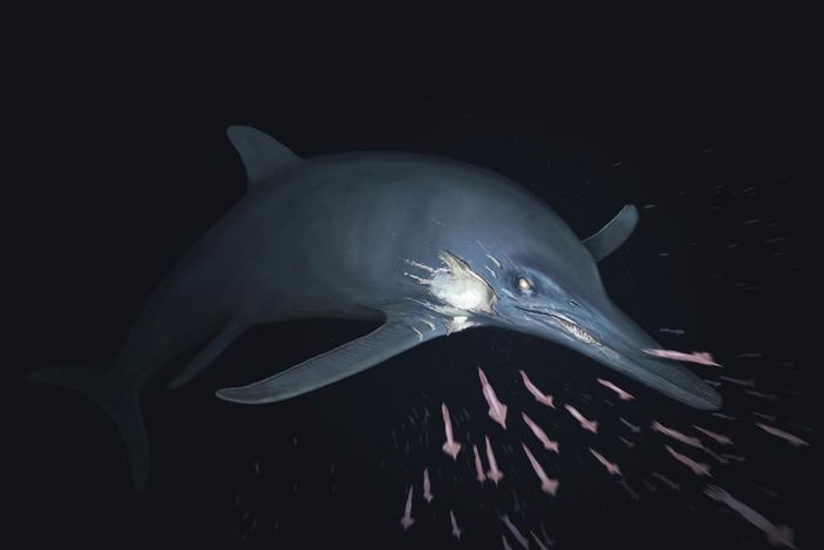 Injured Sea Predator Survived 180 Million Years Ago