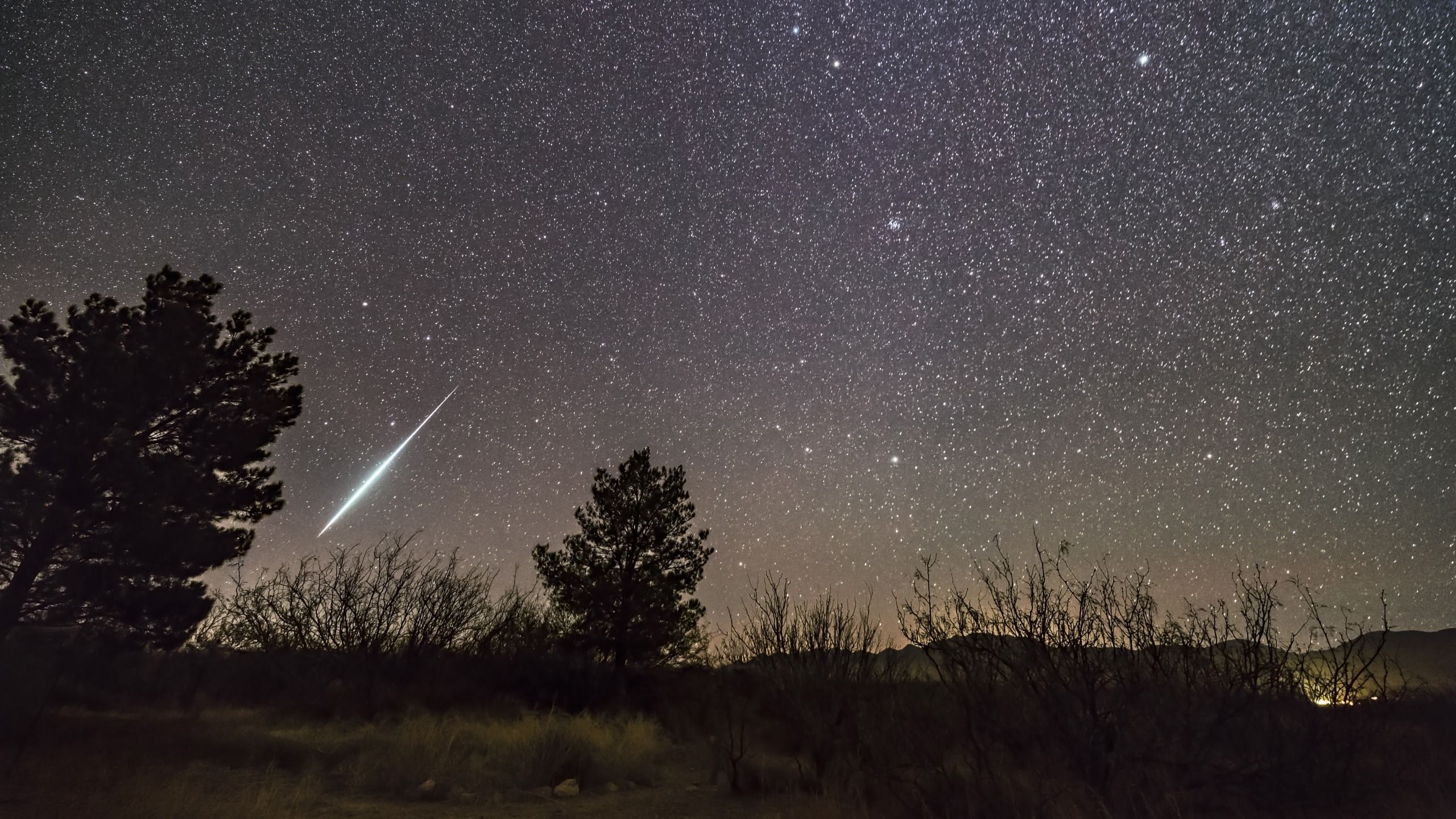 Taurid 'Halloween Fireballs' Light Up November Skies