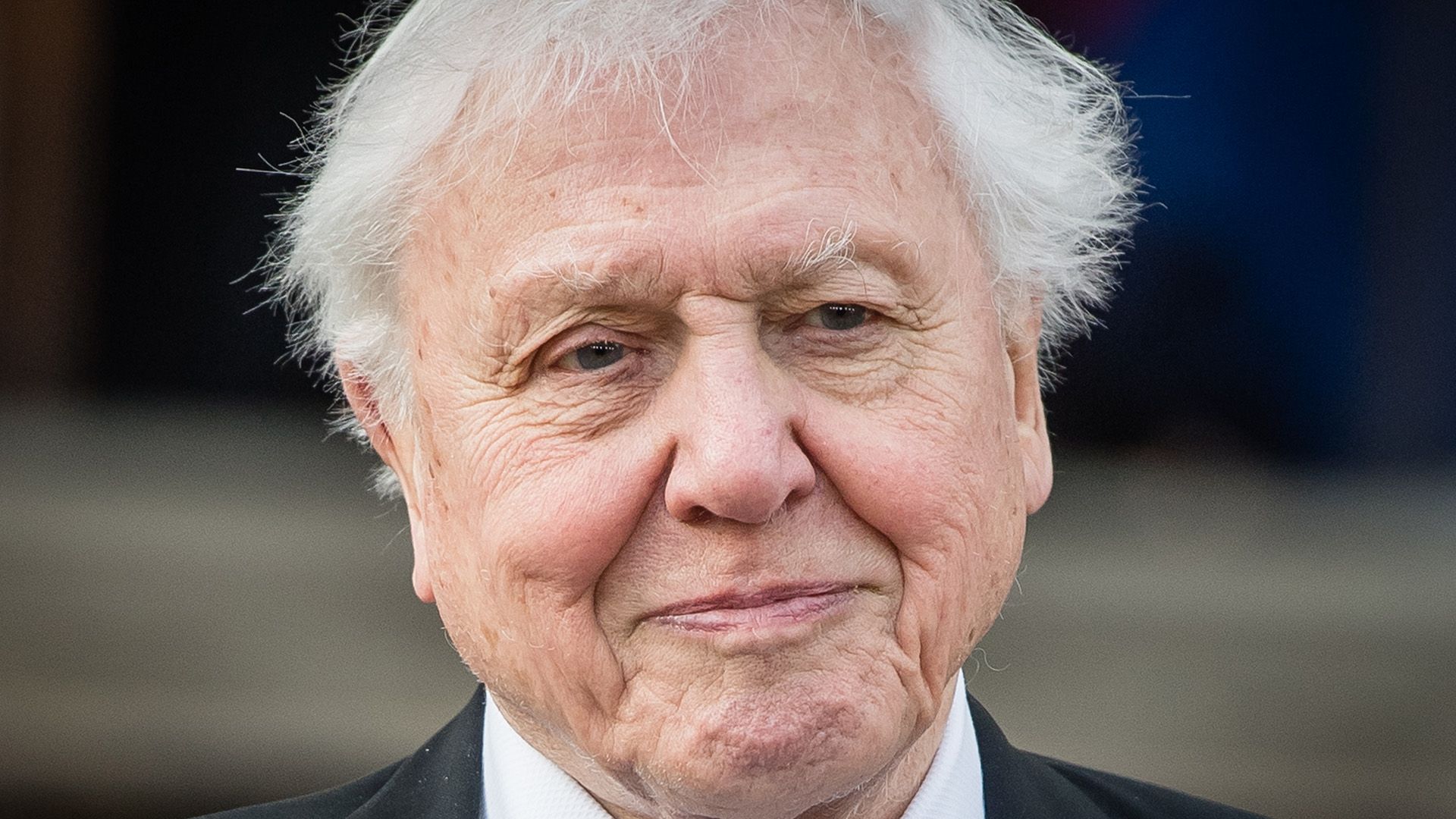 Sir David Attenborough smiling warmly in recent photograph celebrating his wildlife broadcasting legacy