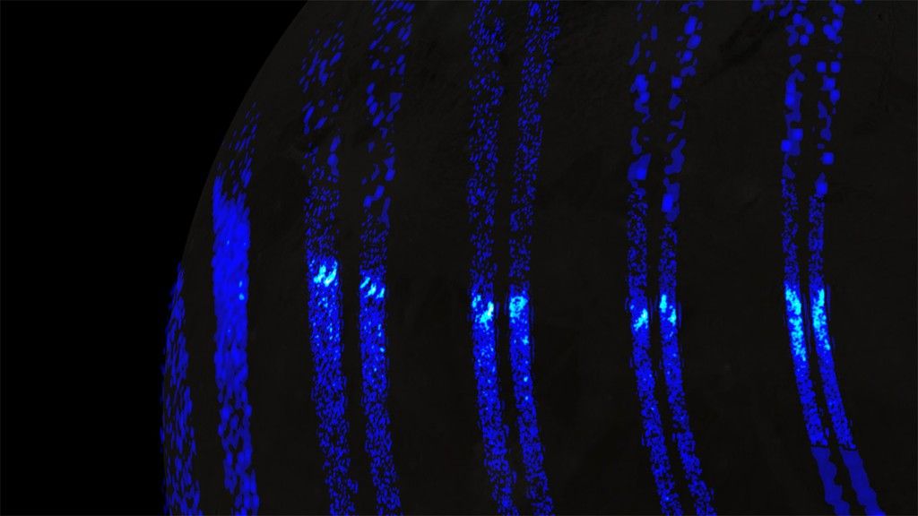 Jupiter's Moon Ganymede Has Auroras Like Earth's