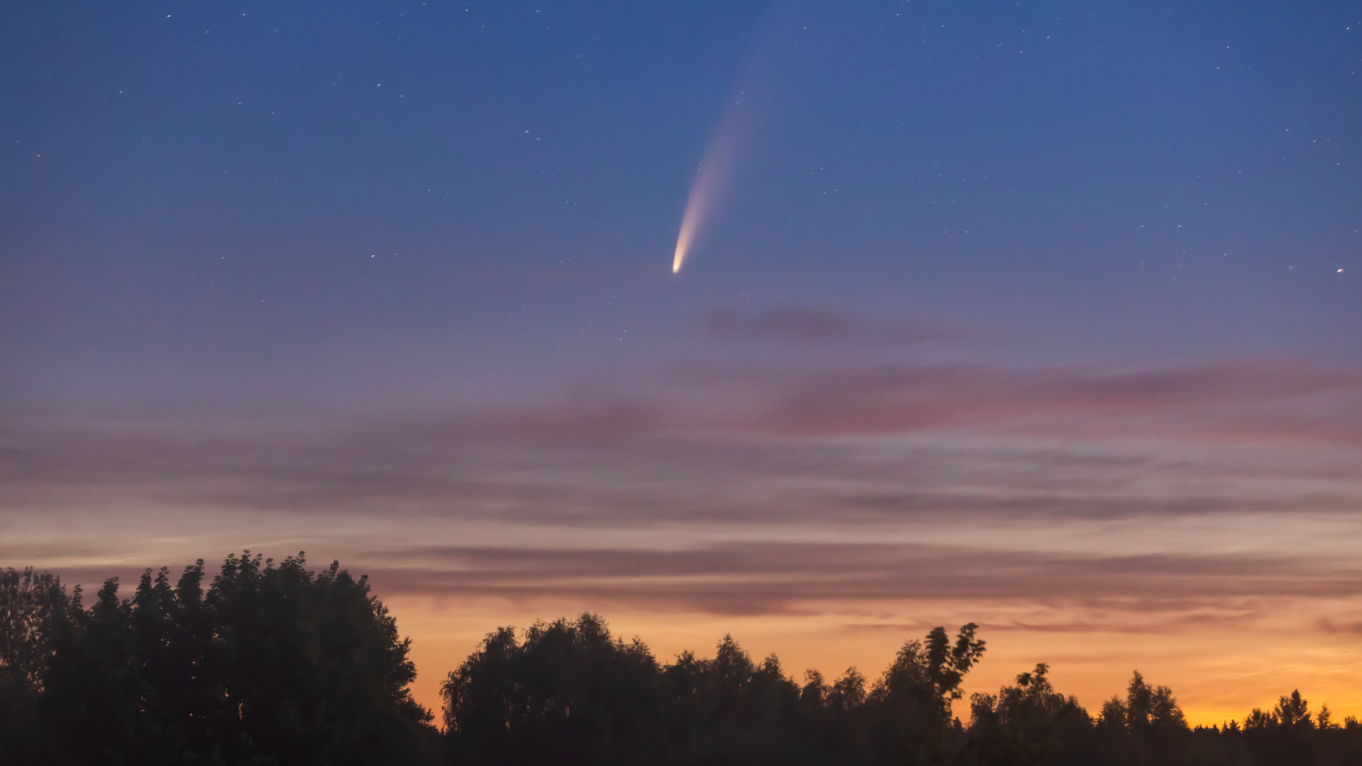 Comet PanSTARRS May Light Up Skies This Month - Image 2