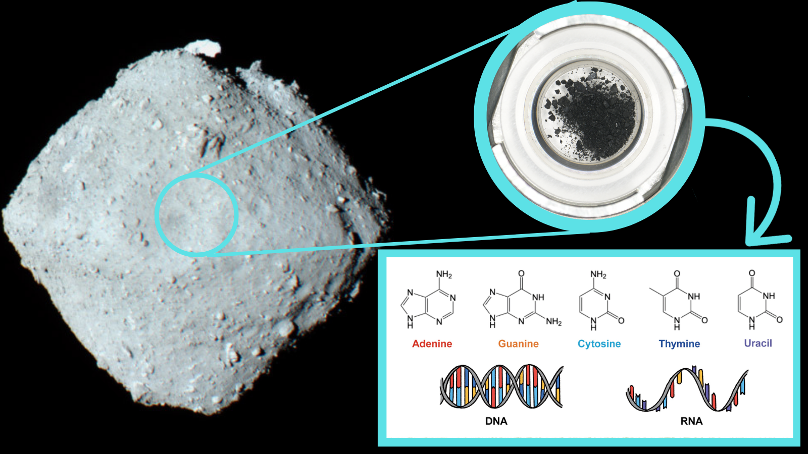 Space Rock Contains All Five DNA Building Blocks
