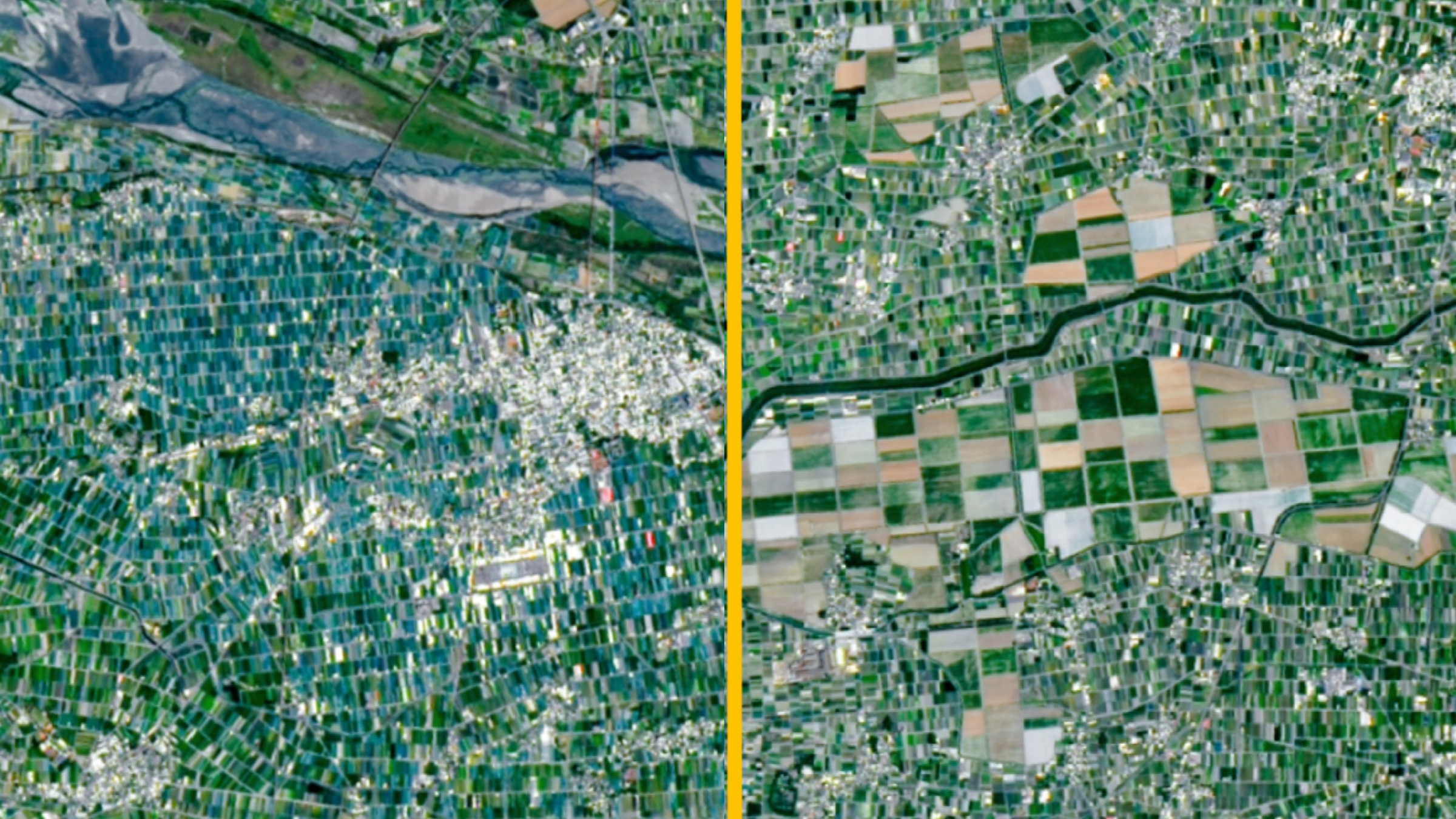 Taiwan's 'Mosaic' Farms Feed 23 Million on Tiny Plots - Image 4