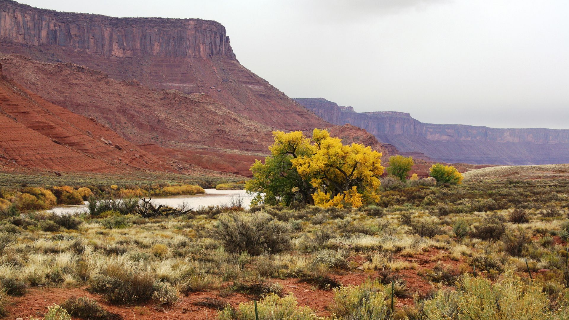 Scientists Solve Colorado River Mystery With Hopeful Fix