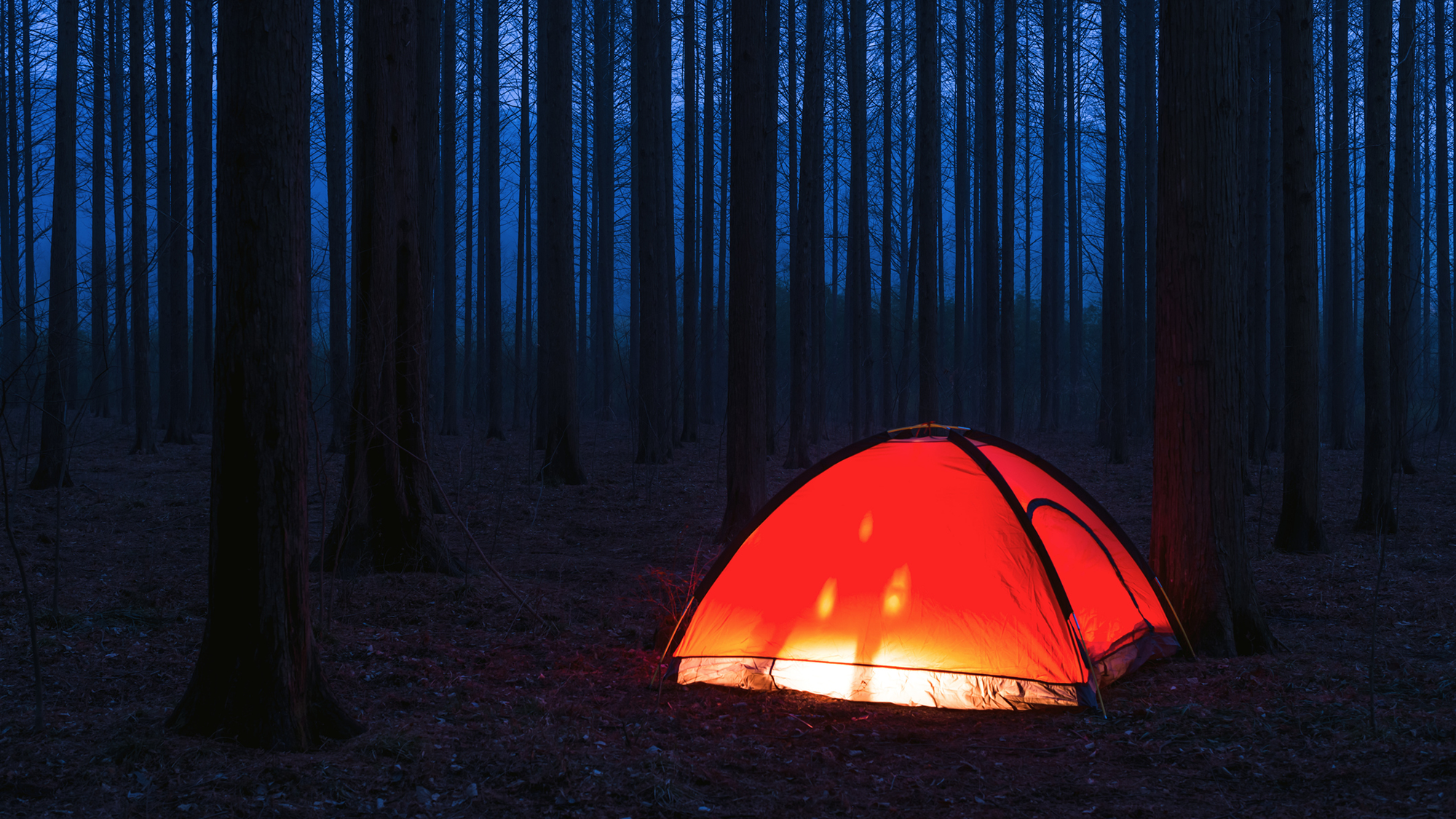 Modern camping tent in outdoor setting with wind blowing through fabric panels