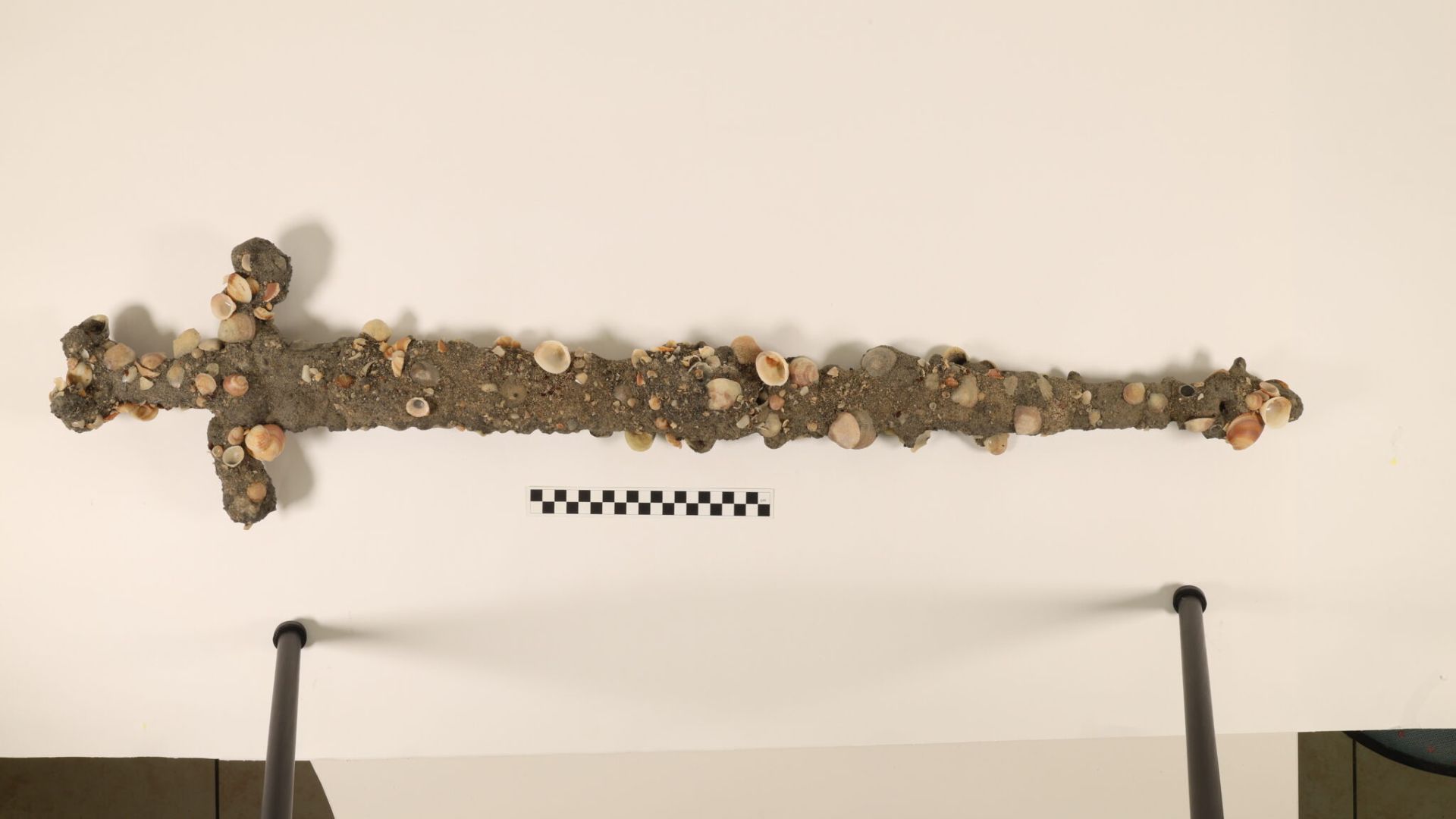 Student Finds Second Crusader Sword Swimming in Israel