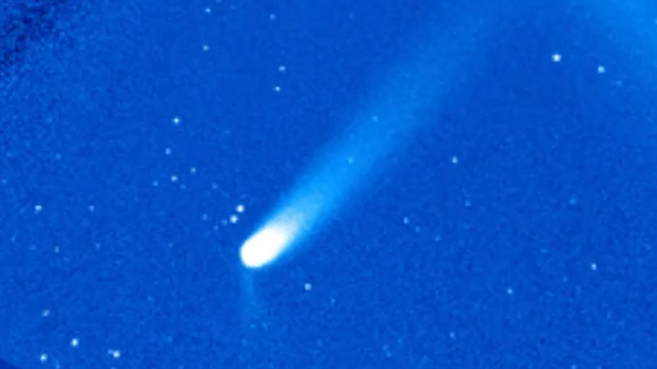 Comet Grows Second Tail as It Zips Past Earth
