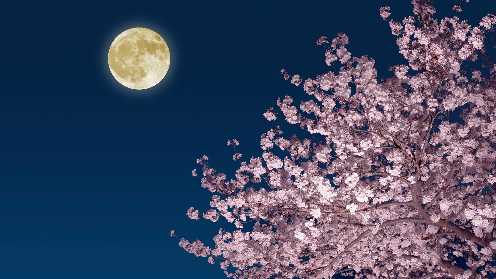 April's Pink Moon Rises Wednesday with Rare Star Pairing