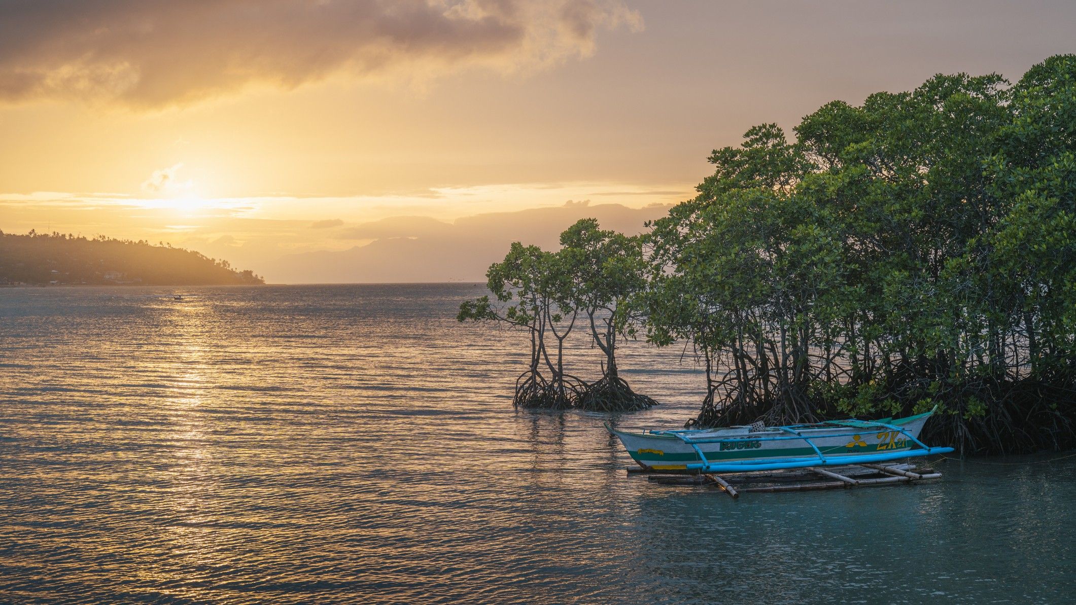 Mangroves Clean $8.7B in Nitrogen Pollution Yearly