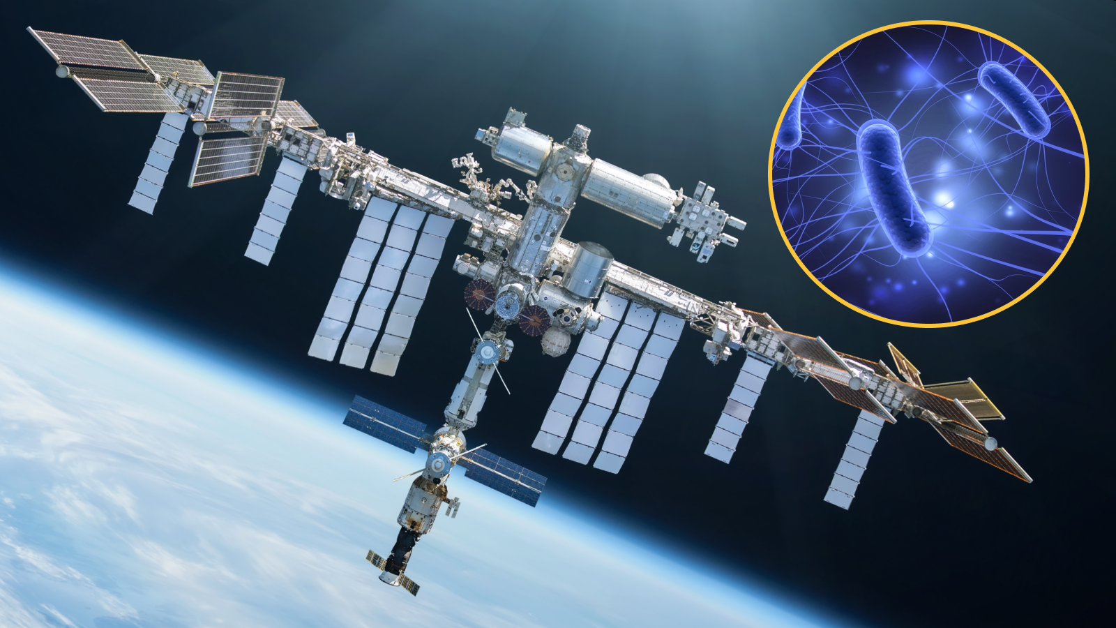 Space Viruses Beat Drug-Resistant Bacteria on Earth