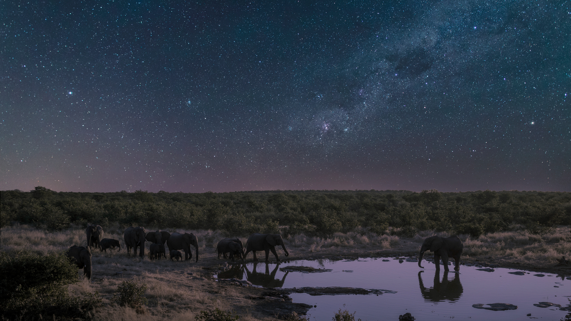 2030 Solar Eclipse Brings Safari, Stargazing, and Science - Image 3