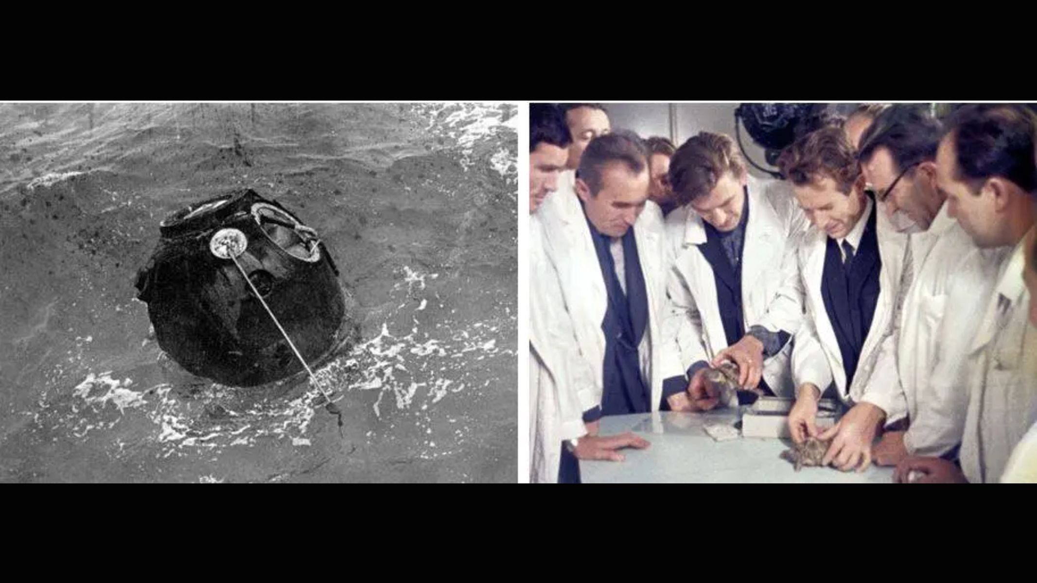 Space Tortoises Circled the Moon in 1968 and Came Home Safe