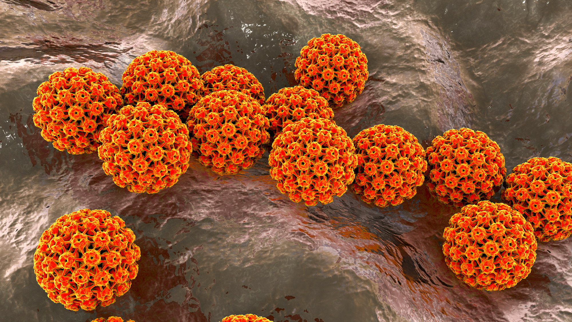 1 in 8 Cancers Preventable Through Existing Vaccines - Image 2