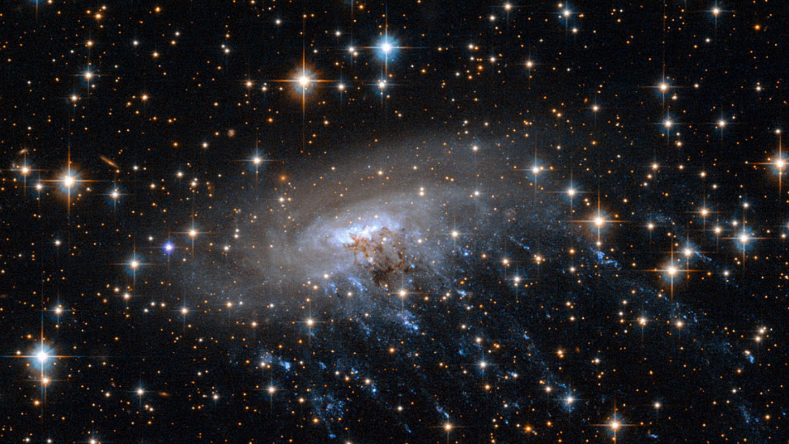 Cosmic Jellyfish Galaxy Reveals Early Universe Secrets