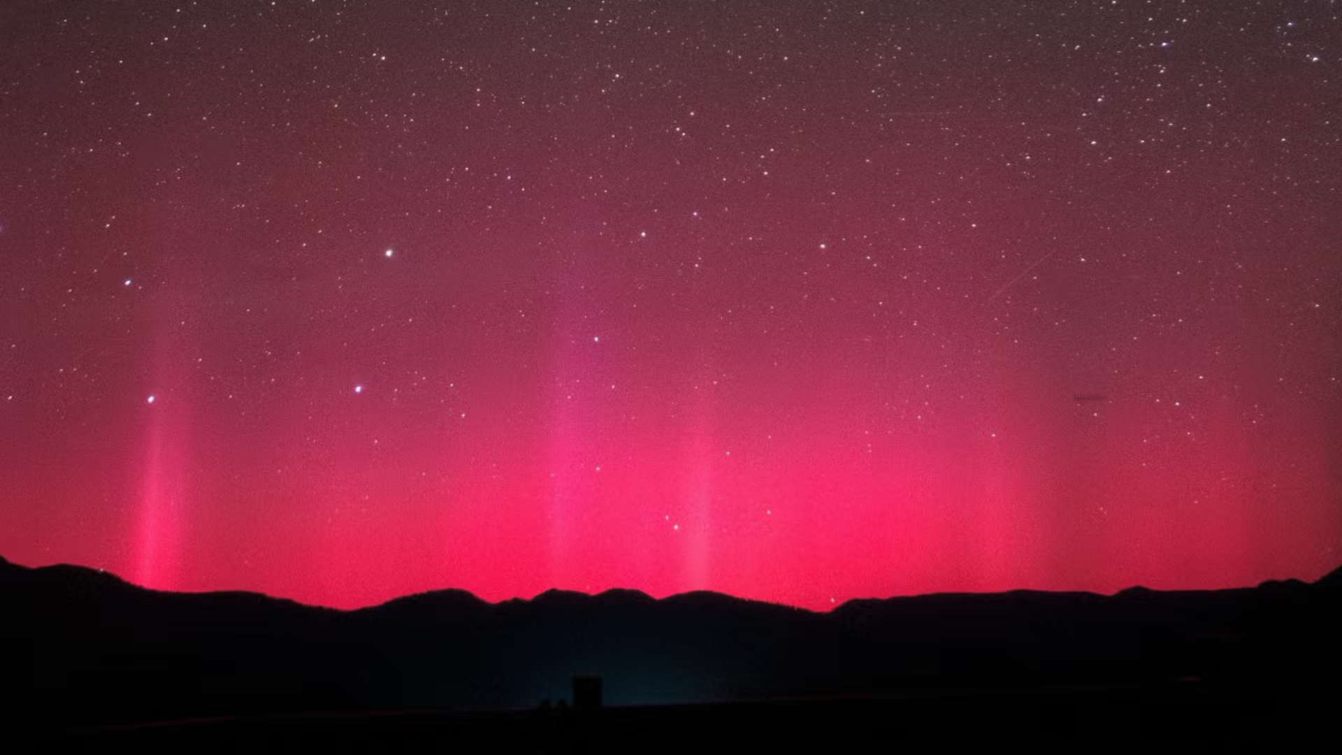 Tree Rings Reveal 825-Year-Old Solar Storm Secret