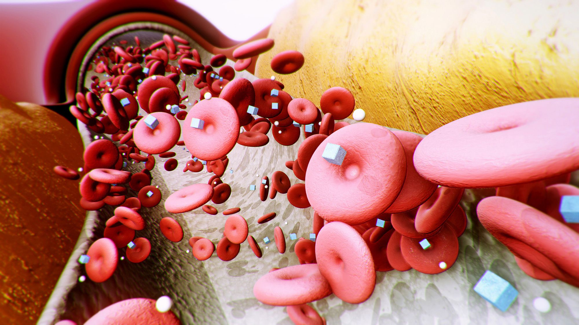 Implant Converts Blood Sugar to Treat Diabetes in Mice