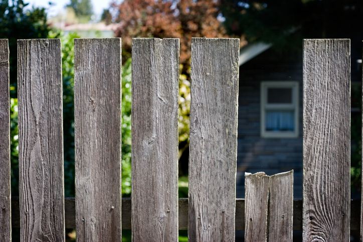Madison Tops 'Good Neighbor' City Rankings for 2026