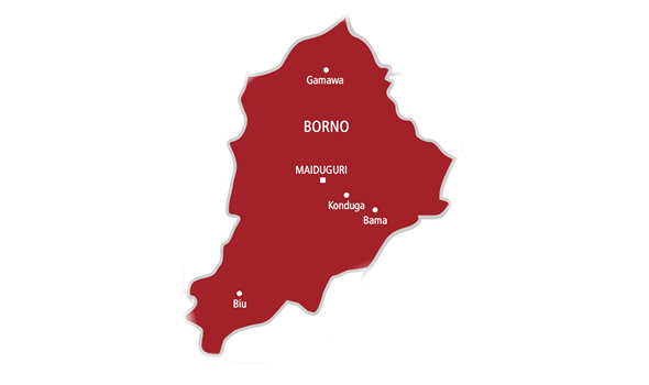 359 Teachers in Borno Earn Professional Licenses