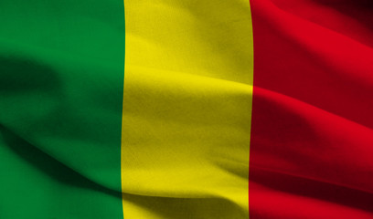 Nigeria Police Rescue 30 Malians From Trafficking Ring